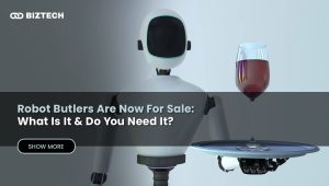Do You Need to Buy A Robot Butler To Help with Your House Chores?