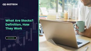 What Are Stocks