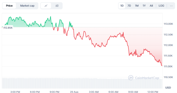Bitcoin's Current Market Status
