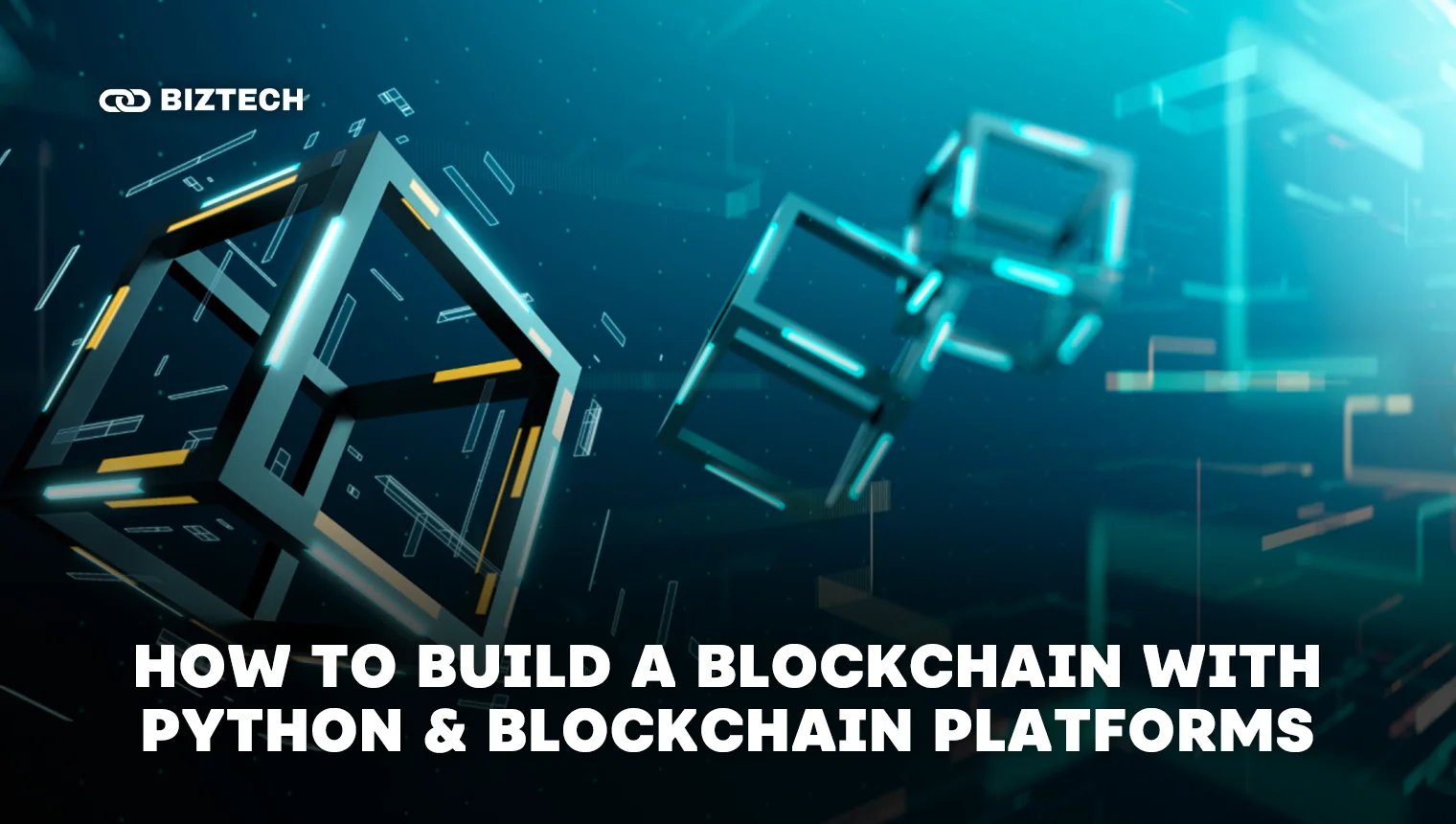2 Main Approaches on How to Build a Blockchain: Python vs Development Platforms
