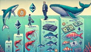 Knowing the Holder Crypto Hierarchy