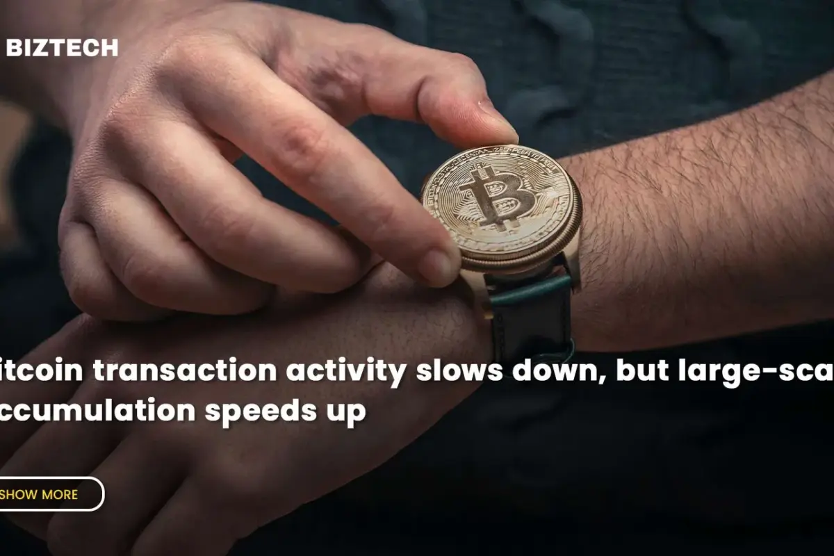 Bitcoin transaction activity slows down, but large-scale accumulation speeds up