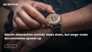 Bitcoin transaction activity slows down, but large-scale accumulation speeds up